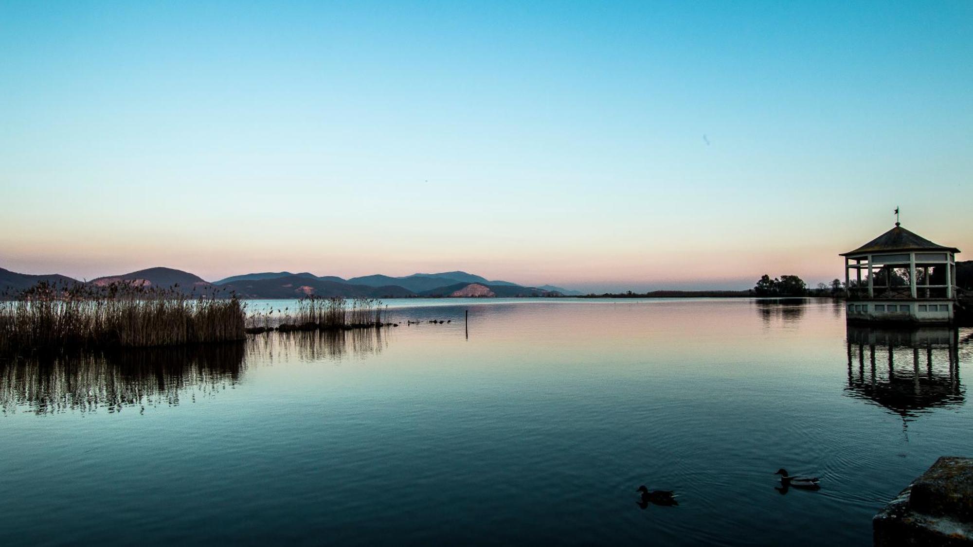 Hotel Butterfly Torre del Lago Puccini Ngoại thất bức ảnh