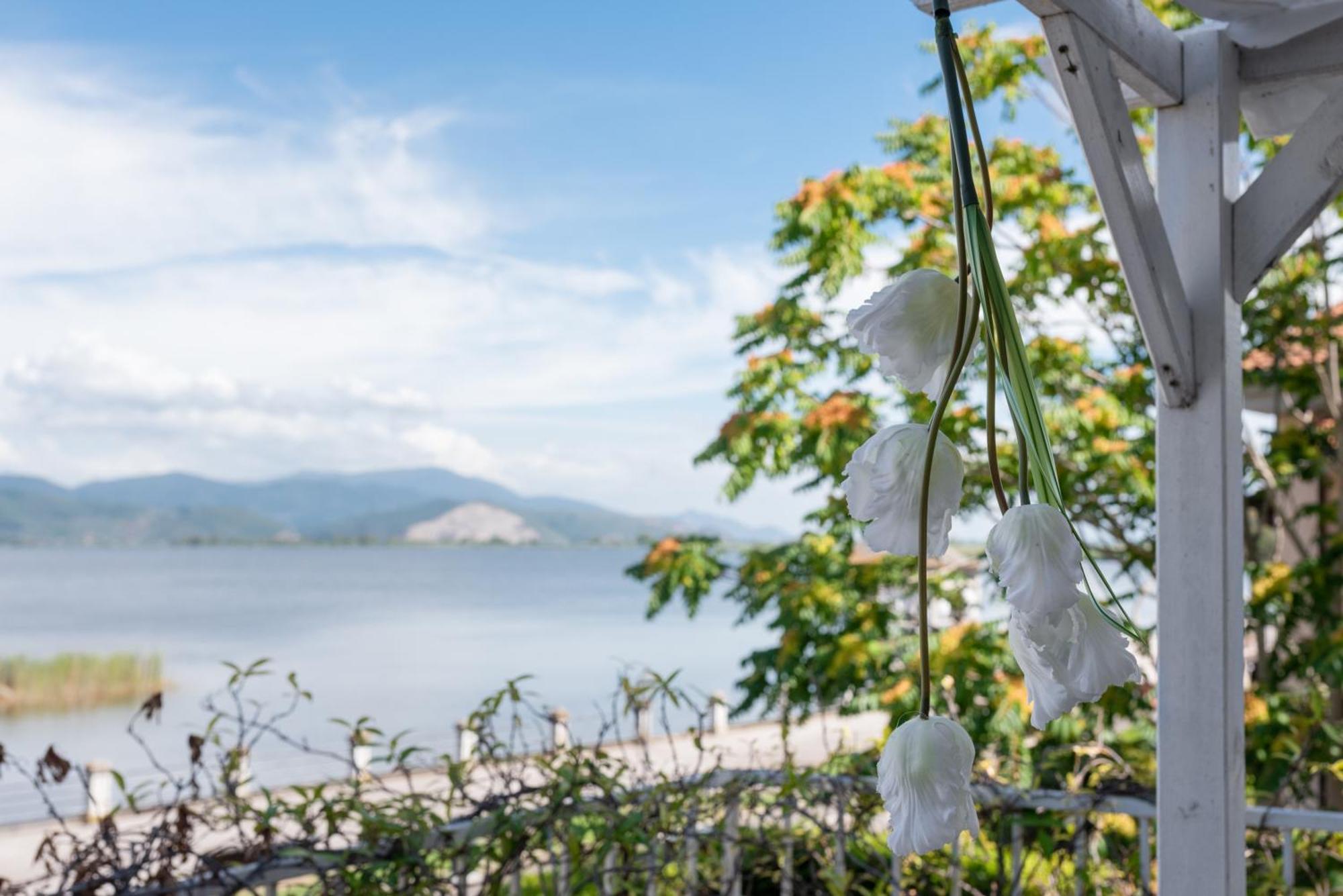 Hotel Butterfly Torre del Lago Puccini Ngoại thất bức ảnh